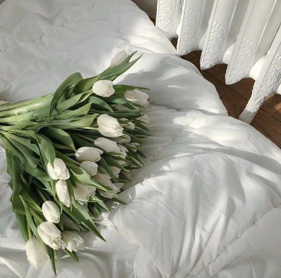 sage green playlist by samra ☽ Spotify