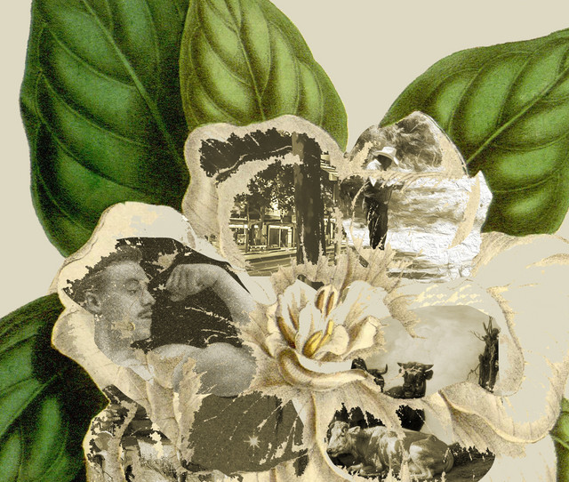 FLOWER GRAND FIRST playlist by goldenarmor17 Spotify