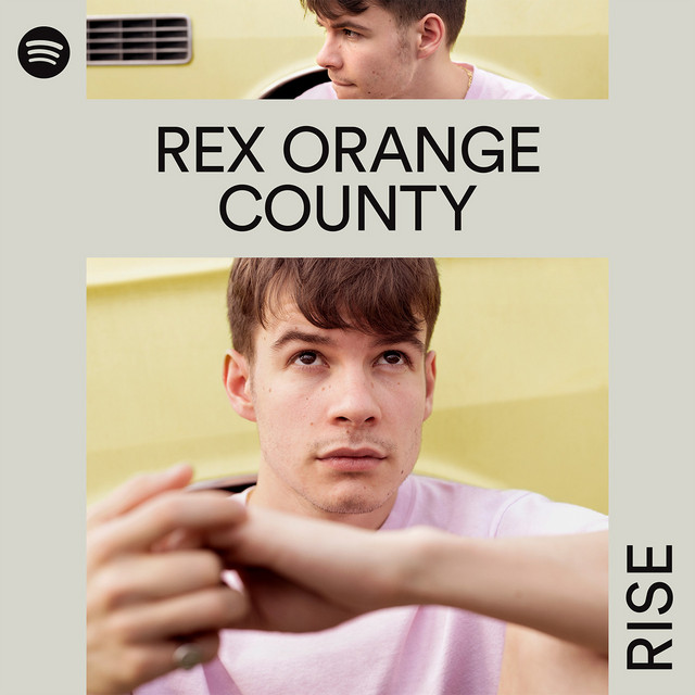 RISE Presents Rex Orange County on Spotify