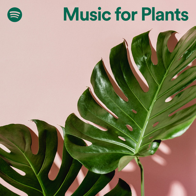 Music for Plants Spotify Playlist