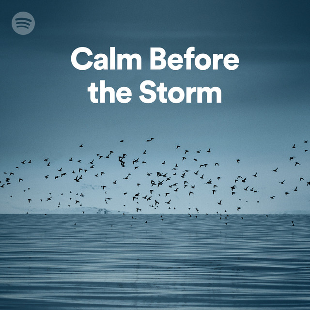 Calm Before the Storm Spotify Playlist