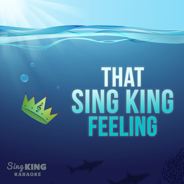 Sing King Karaoke on Spotify