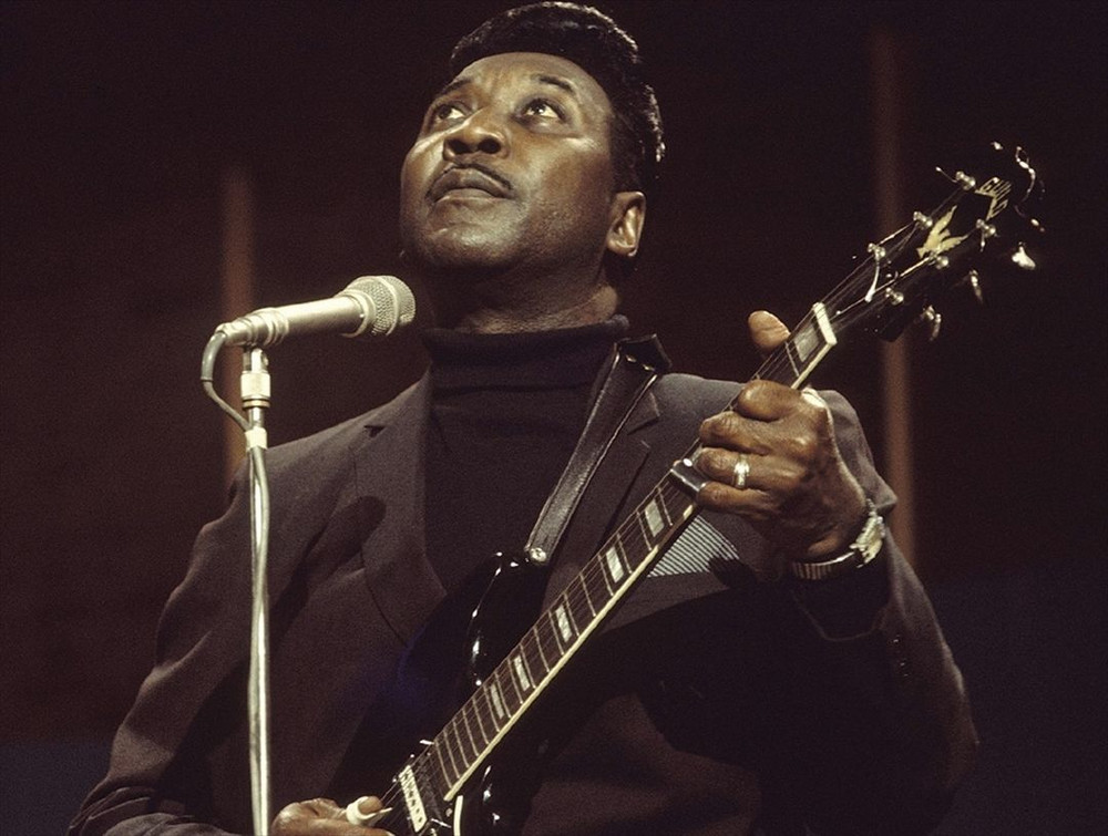 Muddy Waters on Spotify