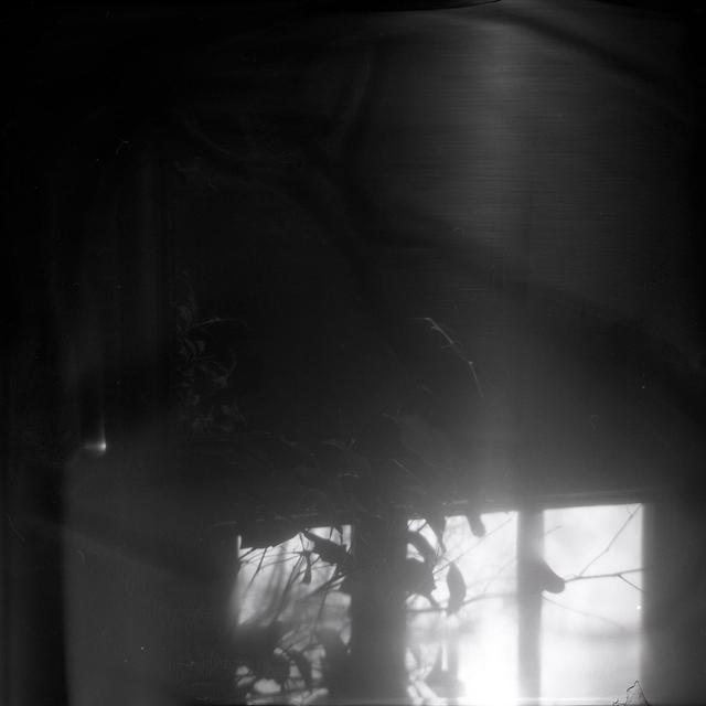 Border House res profile SubmitHub