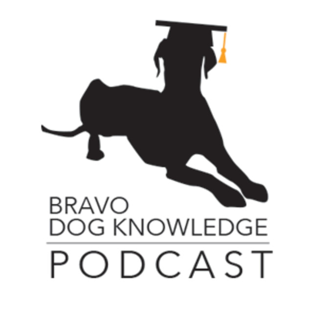Bravo Dog Knowledge Dog Training Podcast on Spotify