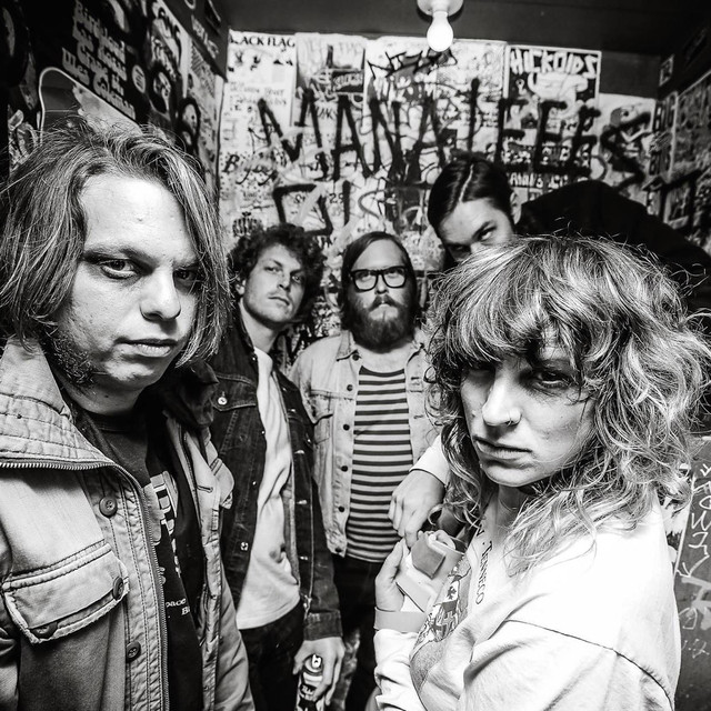 A Giant Dog on Spotify