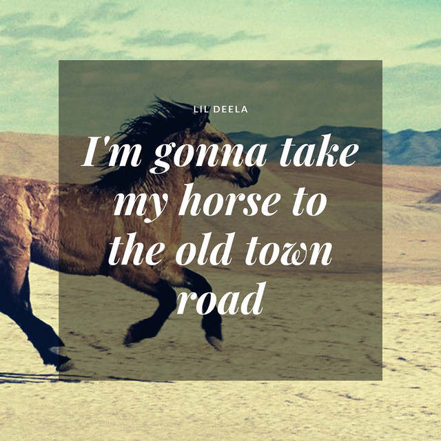 I'm Gonna Take My Horse to the Old Town Road by Lil Deela on Spotify