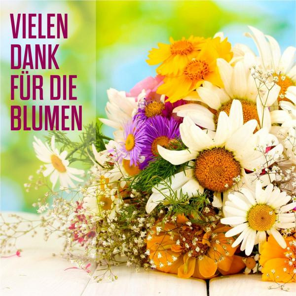 Vielen Dank für die Blumen, a song by Vielen Dank on Spotify