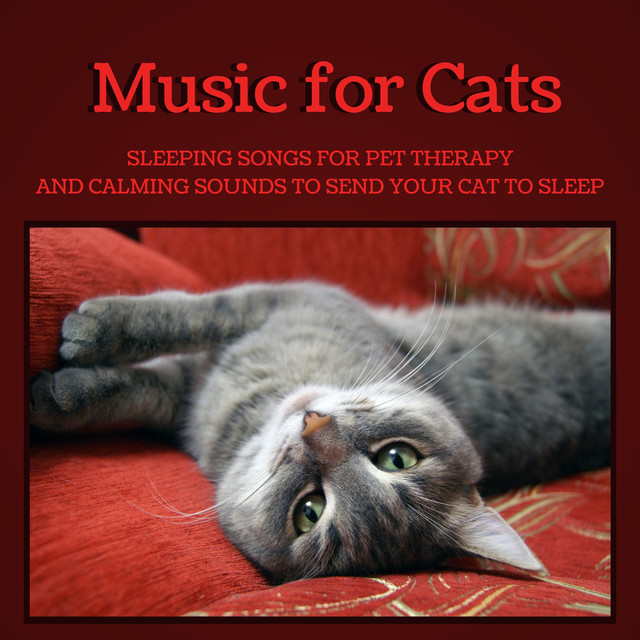 Music for Cats Sleeping Songs for Pet Therapy and Calming Sounds to