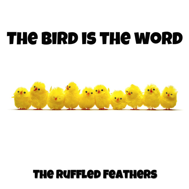 The Bird Is the Word, a song by The Ruffled Feathers on Spotify