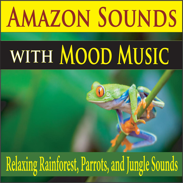 Amazon Sounds with Mood Music (Relaxing Rainforest, Parrots, and Jungle