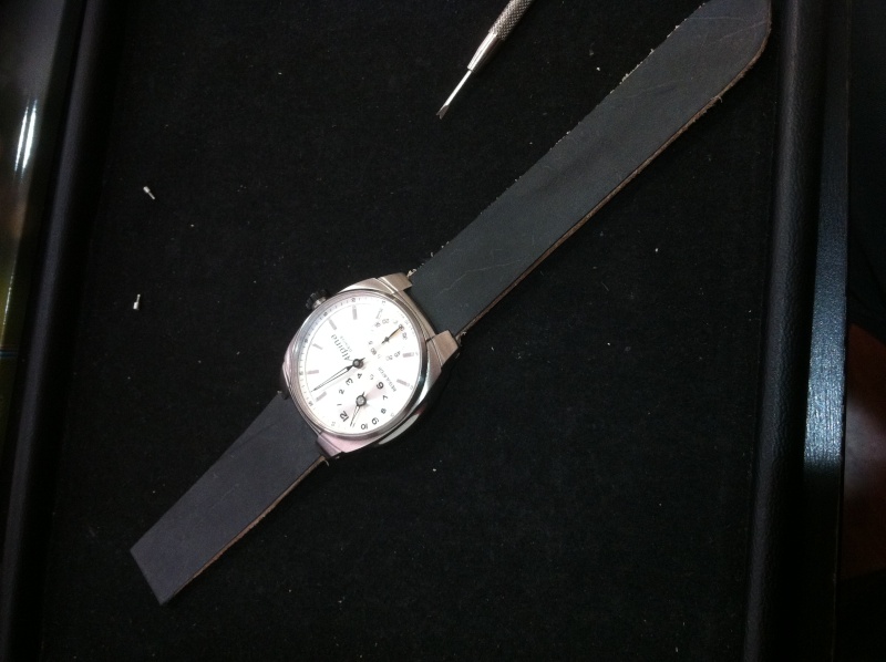 Quel bracelet pour une Alpina Avalanche régulator?