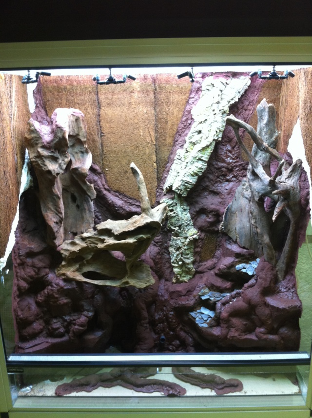 Terrarium tropical humide by "Le Pelu"