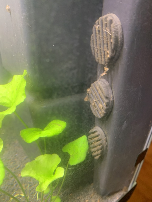 Meuble aquarium 100L