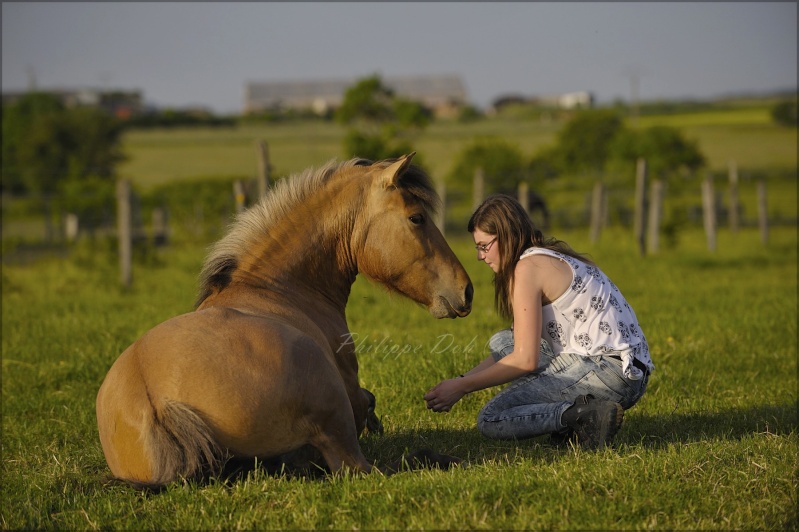 méthode pour le couché ( pour un cheval qui ne se roule