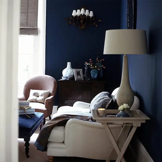 Picture Of Blue Room Design Ideas