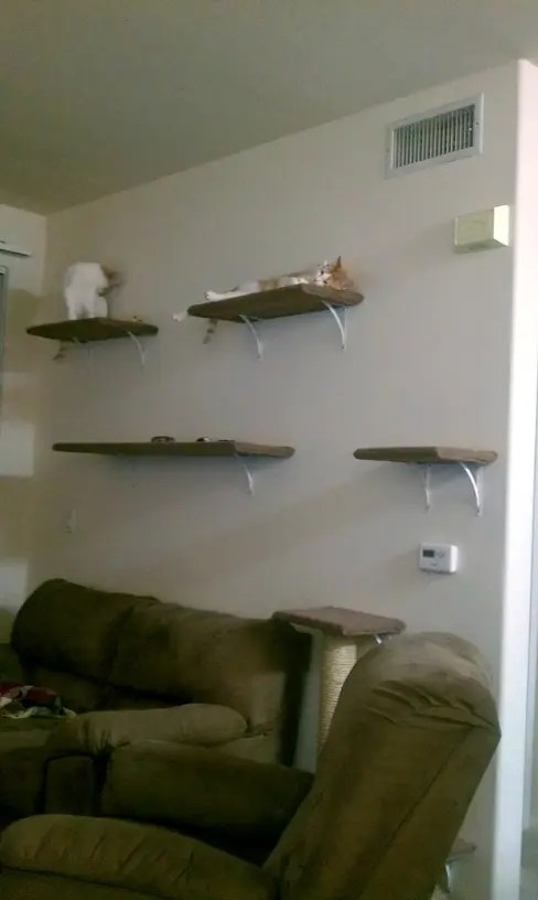 9 Simple DIY Cat Trees To Spoil Your Kitty - Shelterness