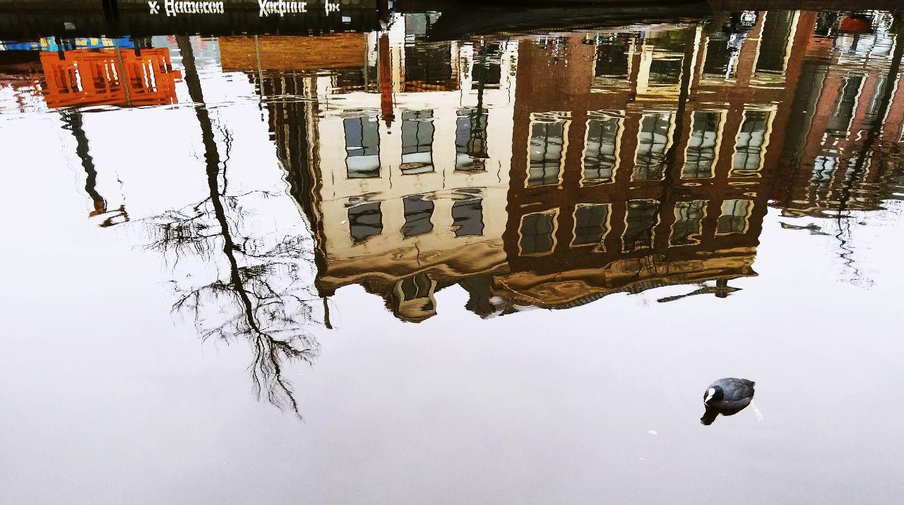 Housing Guide for Students at Leiden University — Ville