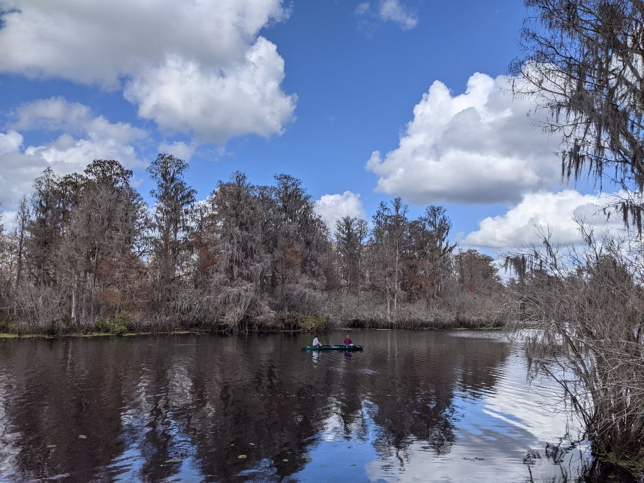 Lettuce Lake Park — girlintransit