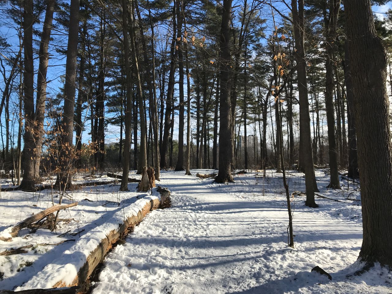 hiking — Noisy Deadlines