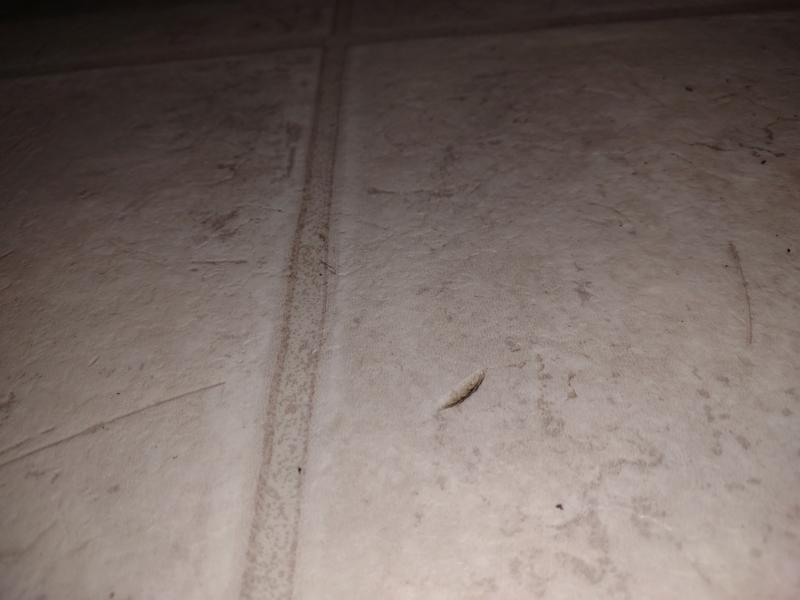 flooring How to repair/cover dents on linoleum/vinyl kitchen floors