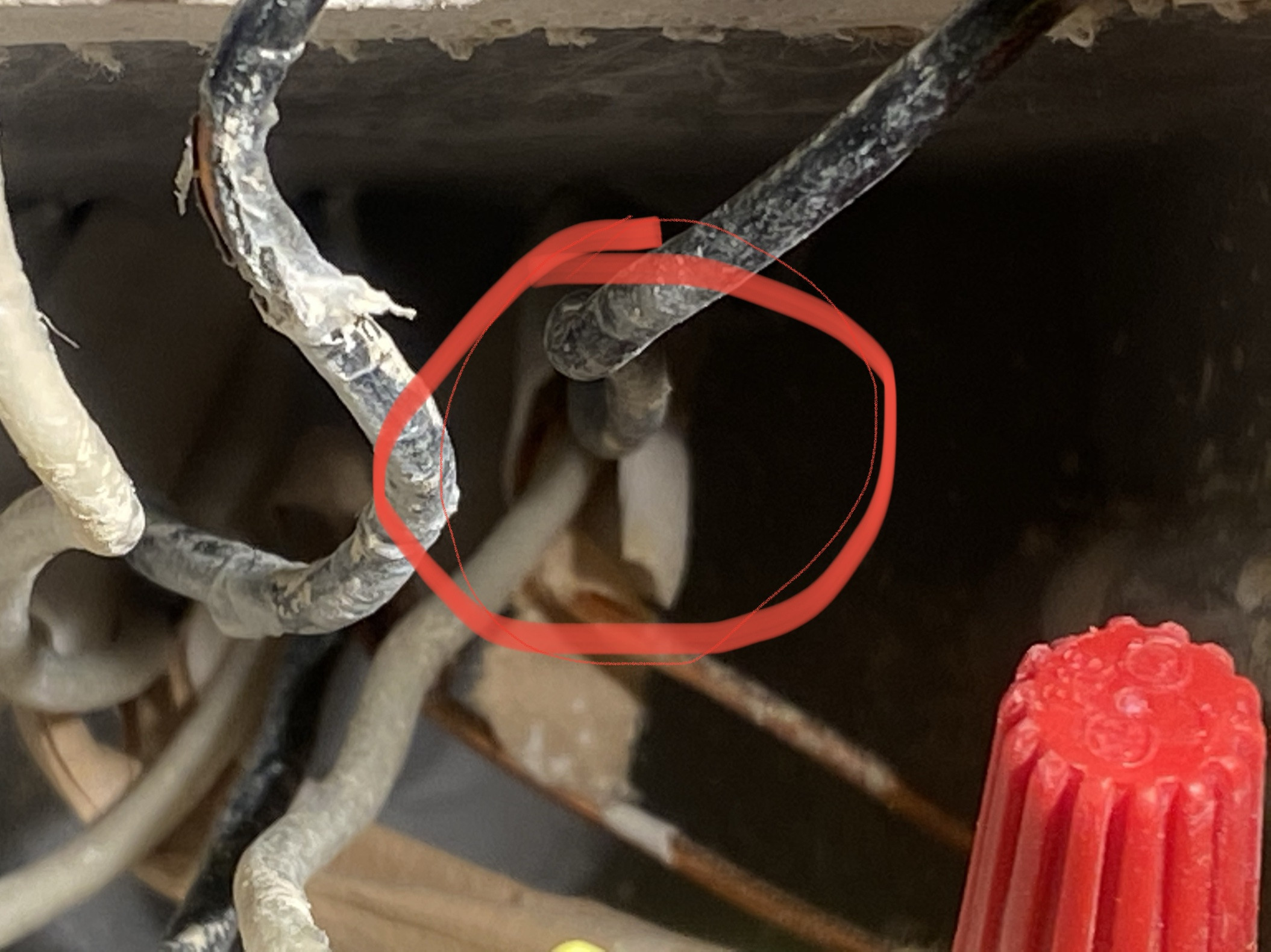 wiring - One hot white wire in a switch box? - Home Improvement Stack