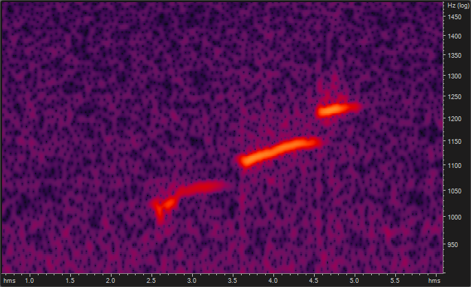 noise - Whistling sound in cabin with engine off? - Motor Vehicle