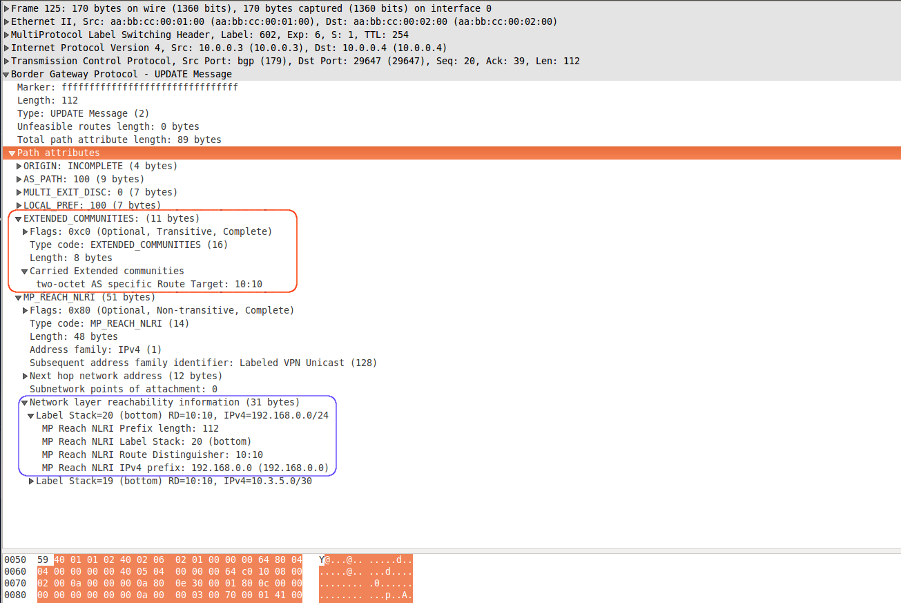 python How can I set the size of my Tkinter widgets in pixels