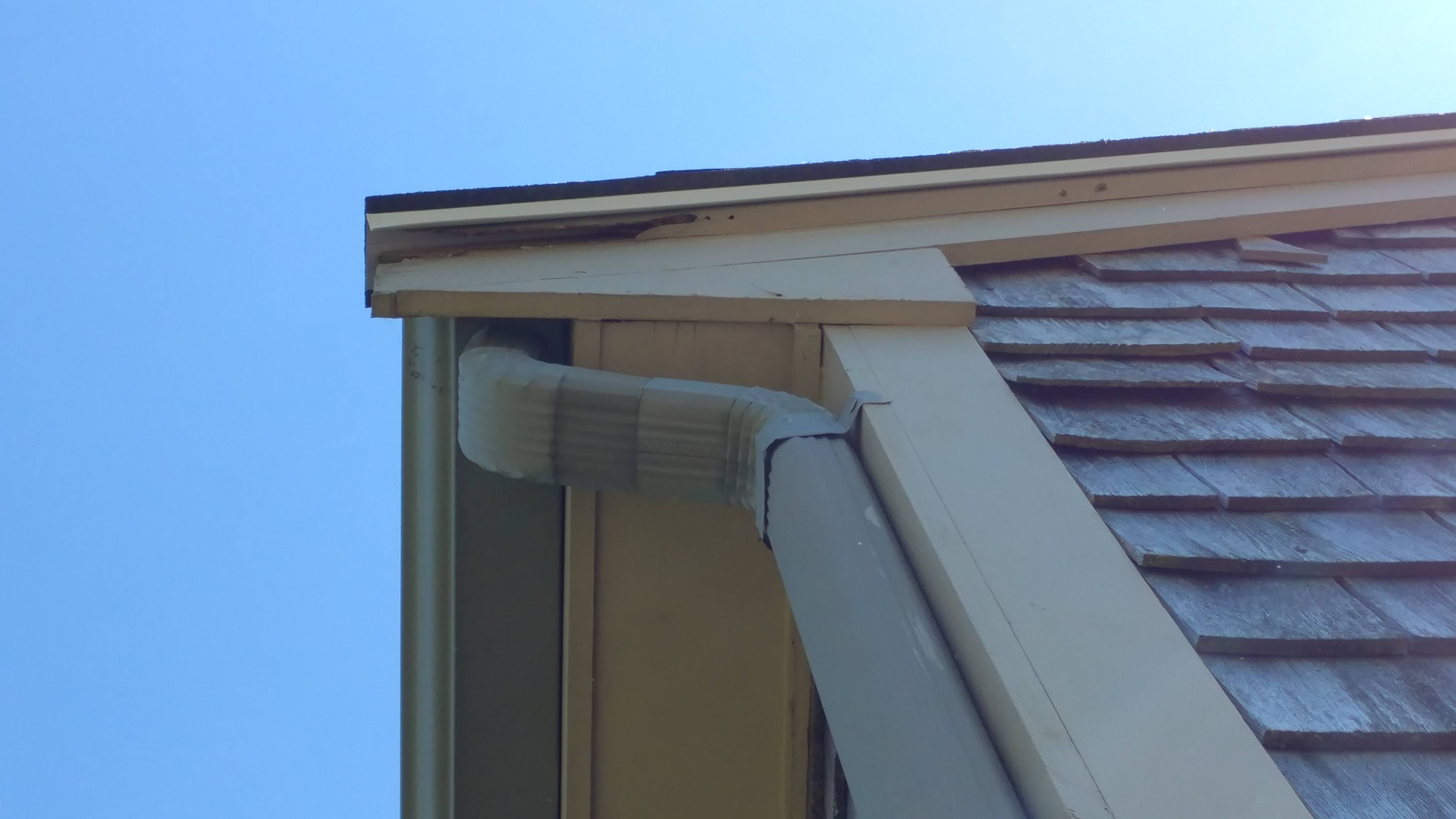 Why is all this exterior trim rotting and how do I fix it? Home