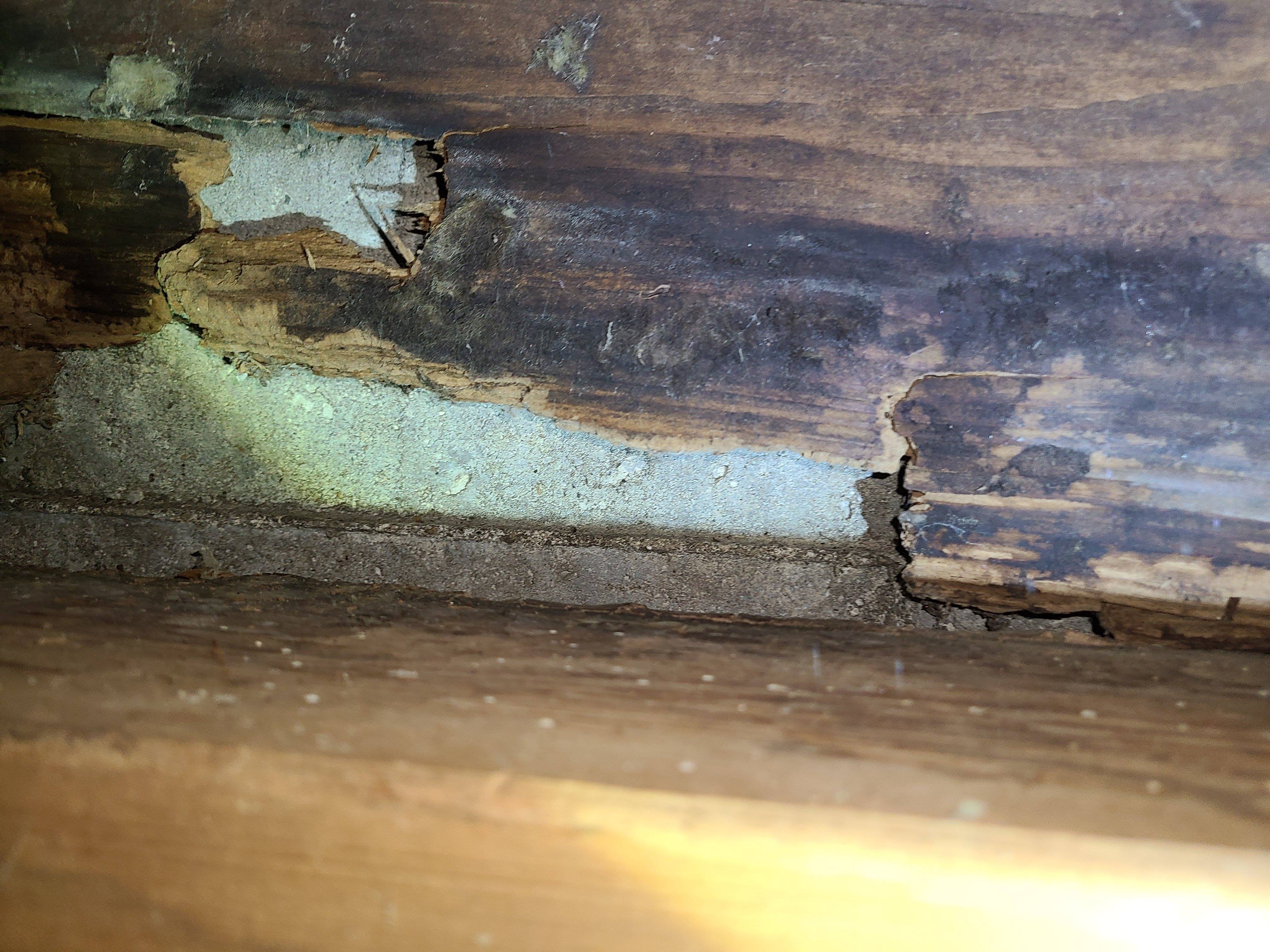 foundation Rotted Rim Joist/Sill Plate Behind Concrete Patio Home