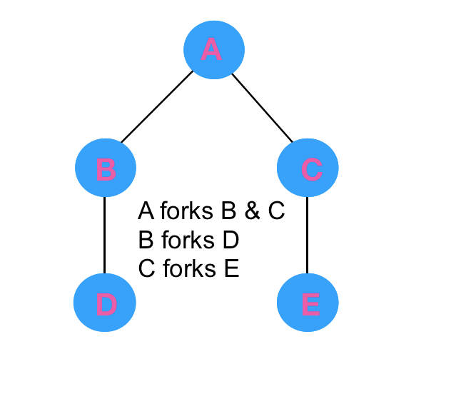 unix - How to make a specific process tree using fork() - Stack Overflow