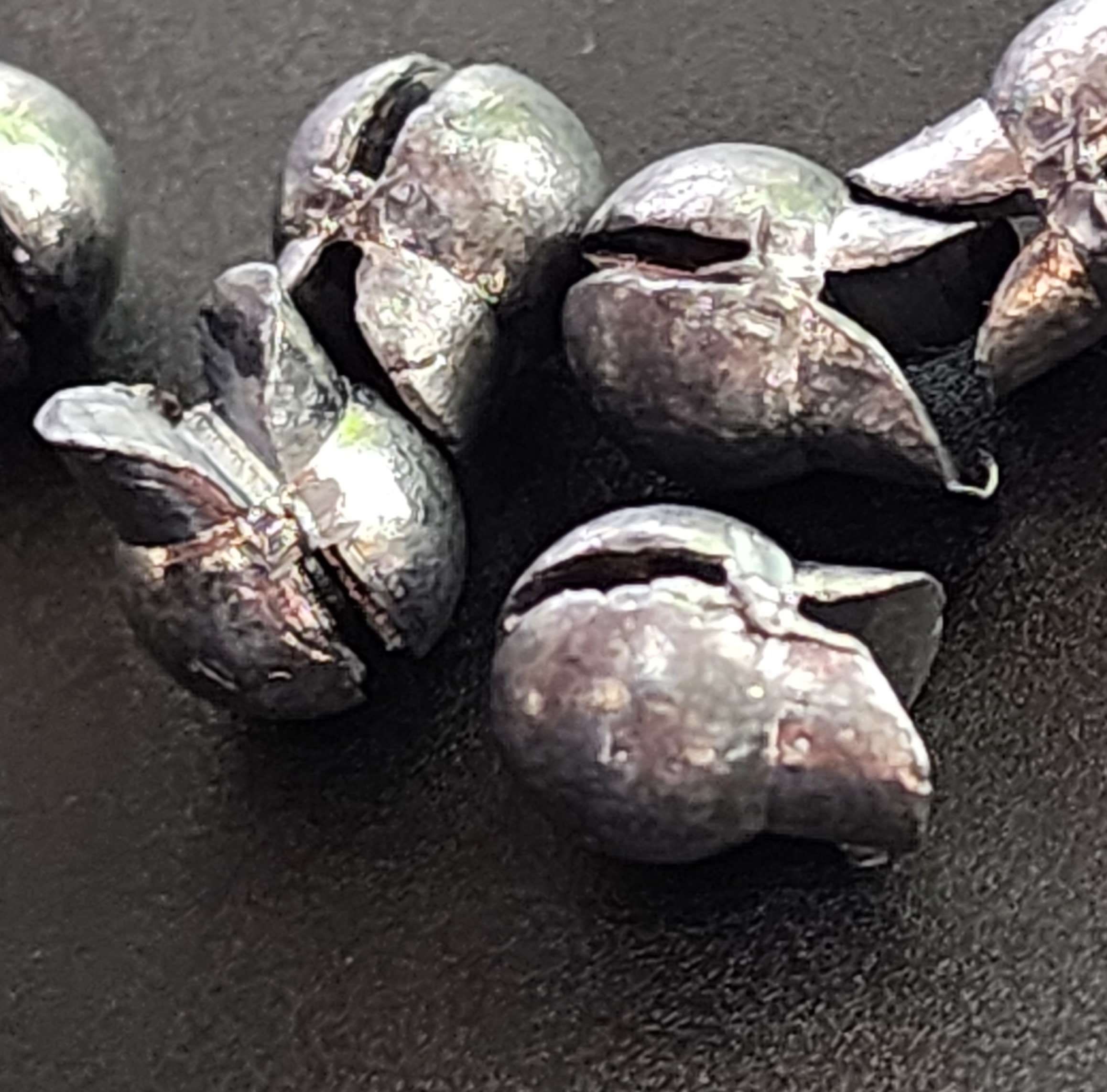 safety Are there any real dangers to using lead fishing sinkers to
