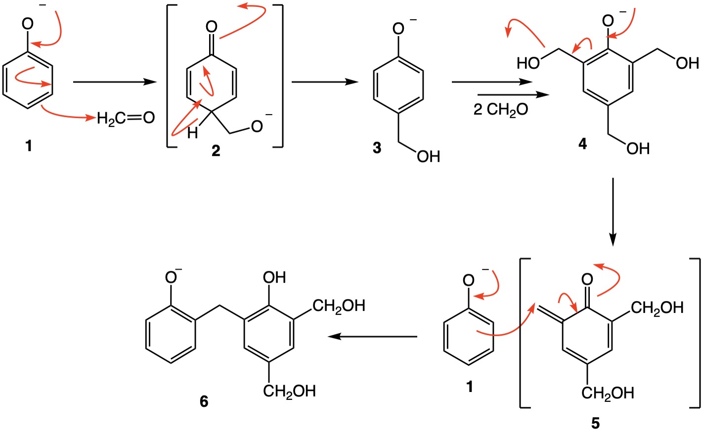 organic chemistry Mechanism of formaldehyde / phenol condensation