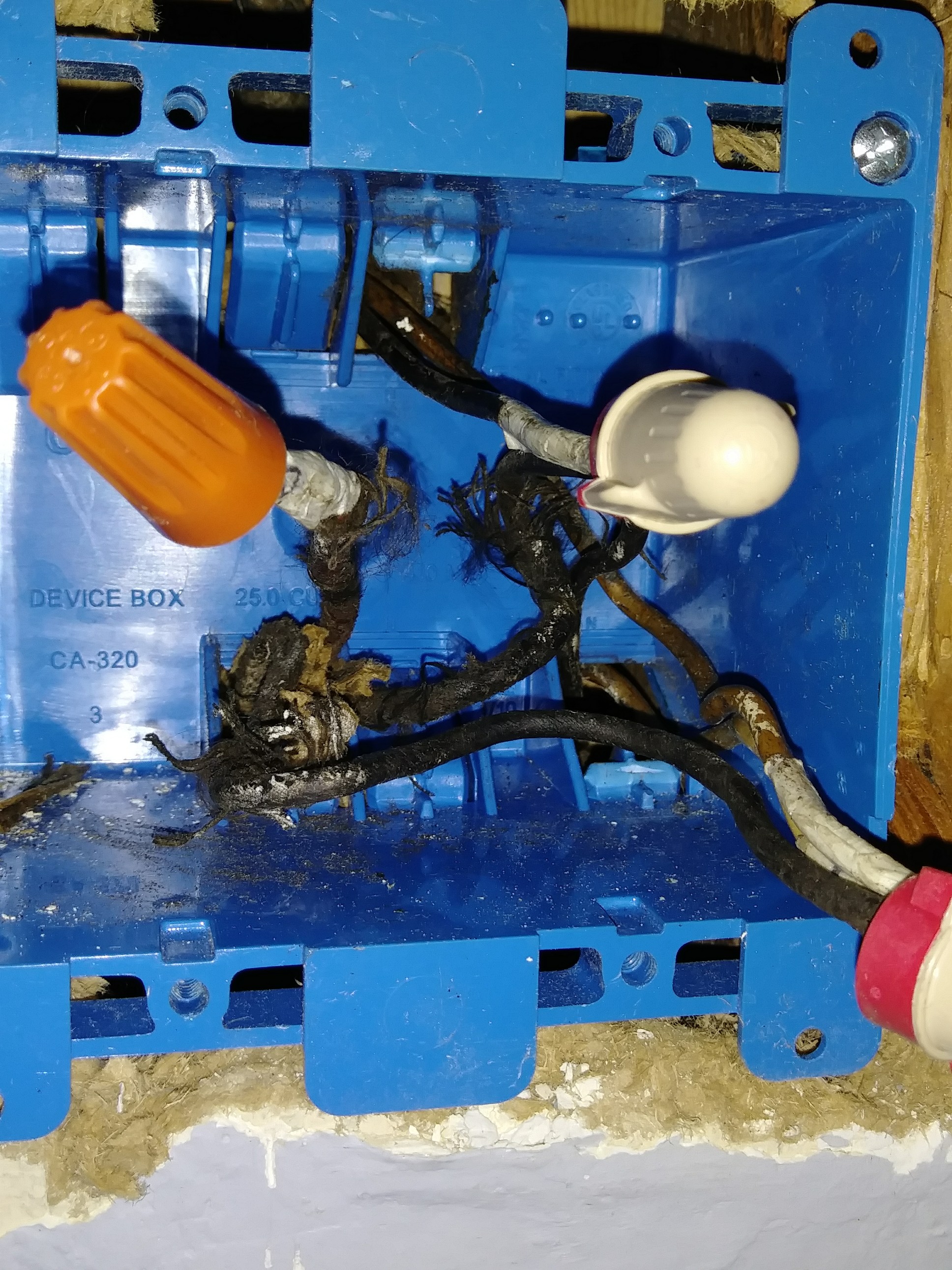 electrical - I want to hook up two lights and two separate switches