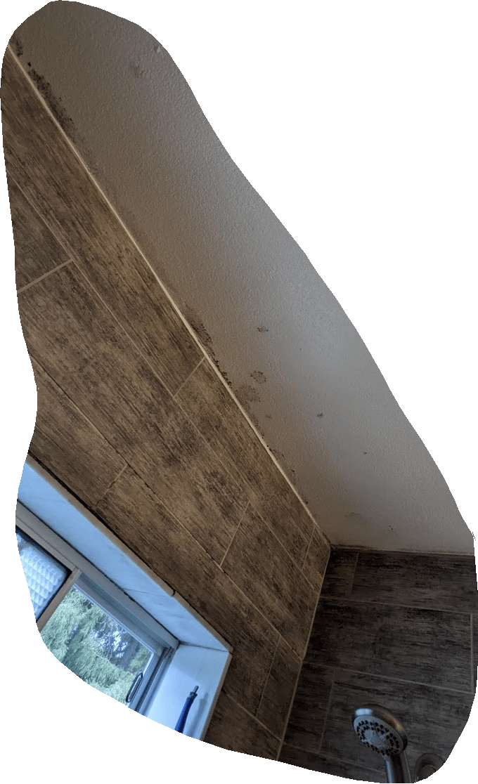 bathroom Mold got painted over. Now regrowing through the paint. What