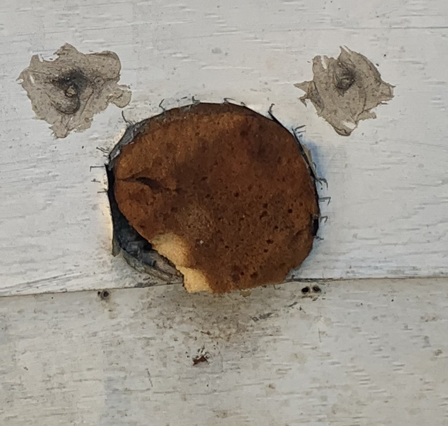 Ways to cover up a hole in metal siding Home Improvement Stack Exchange