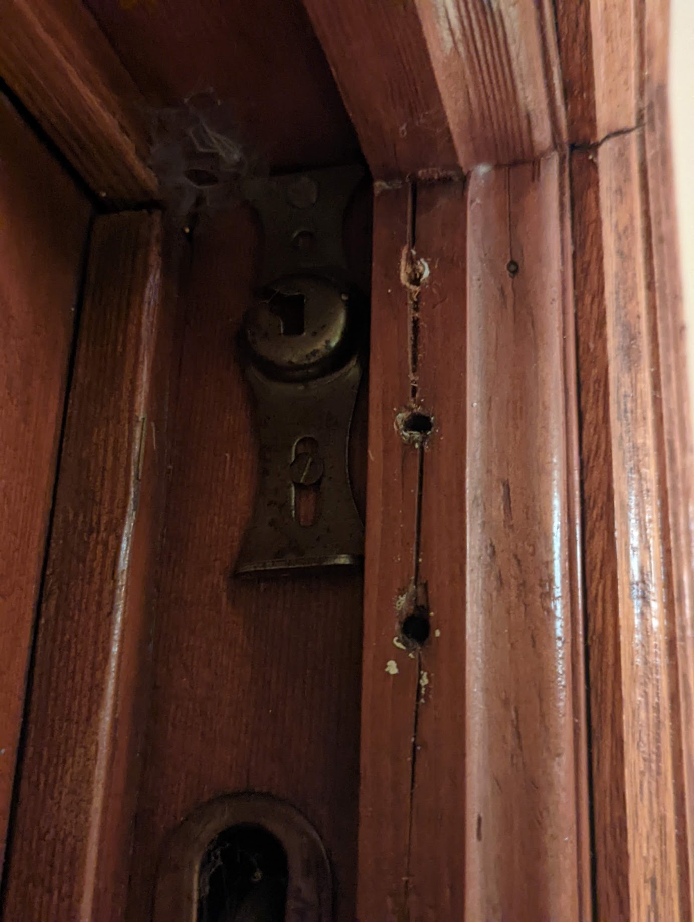 How can you repair split wood that cannot be moved? Home Improvement