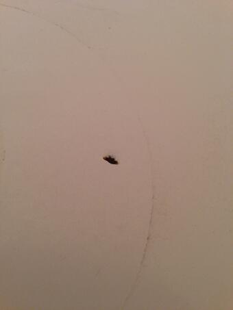 waterproofing - How to fill in a small hole in the tub? - Home