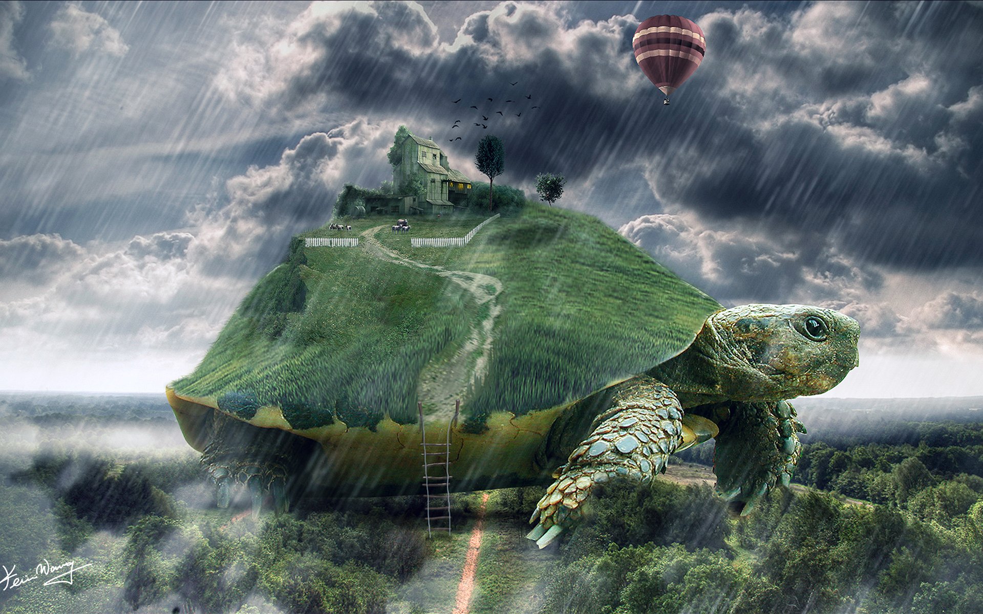 You Wont Believe Whats Going On Inside A Turtles Shell Sydney Harbour