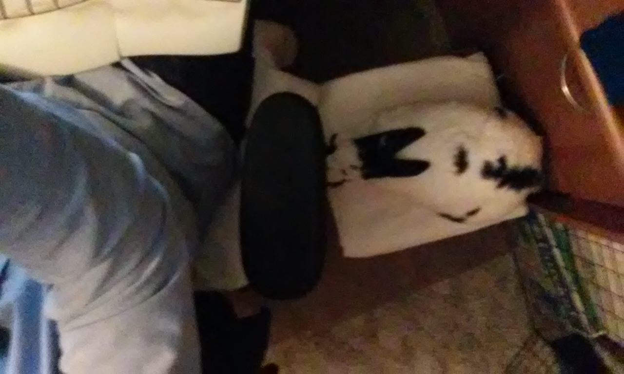 dogs Pet sidecar for an office chair? Pets Stack Exchange