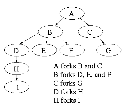 unix - How to make a specific process tree using fork() - Stack Overflow