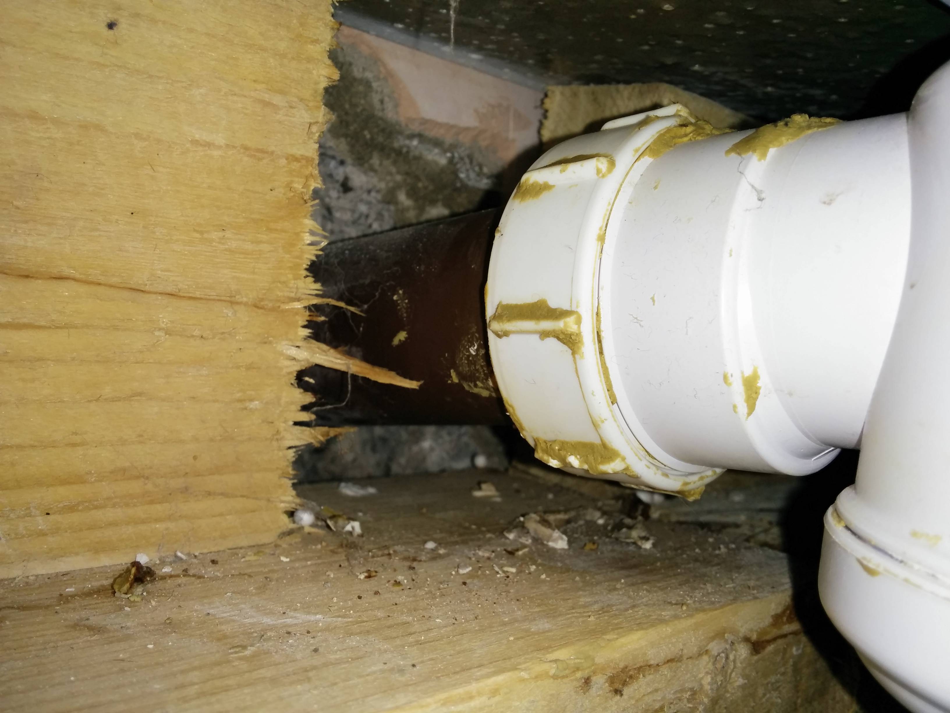 plumbing How to disconnect shower tray from drainage pipe? Home