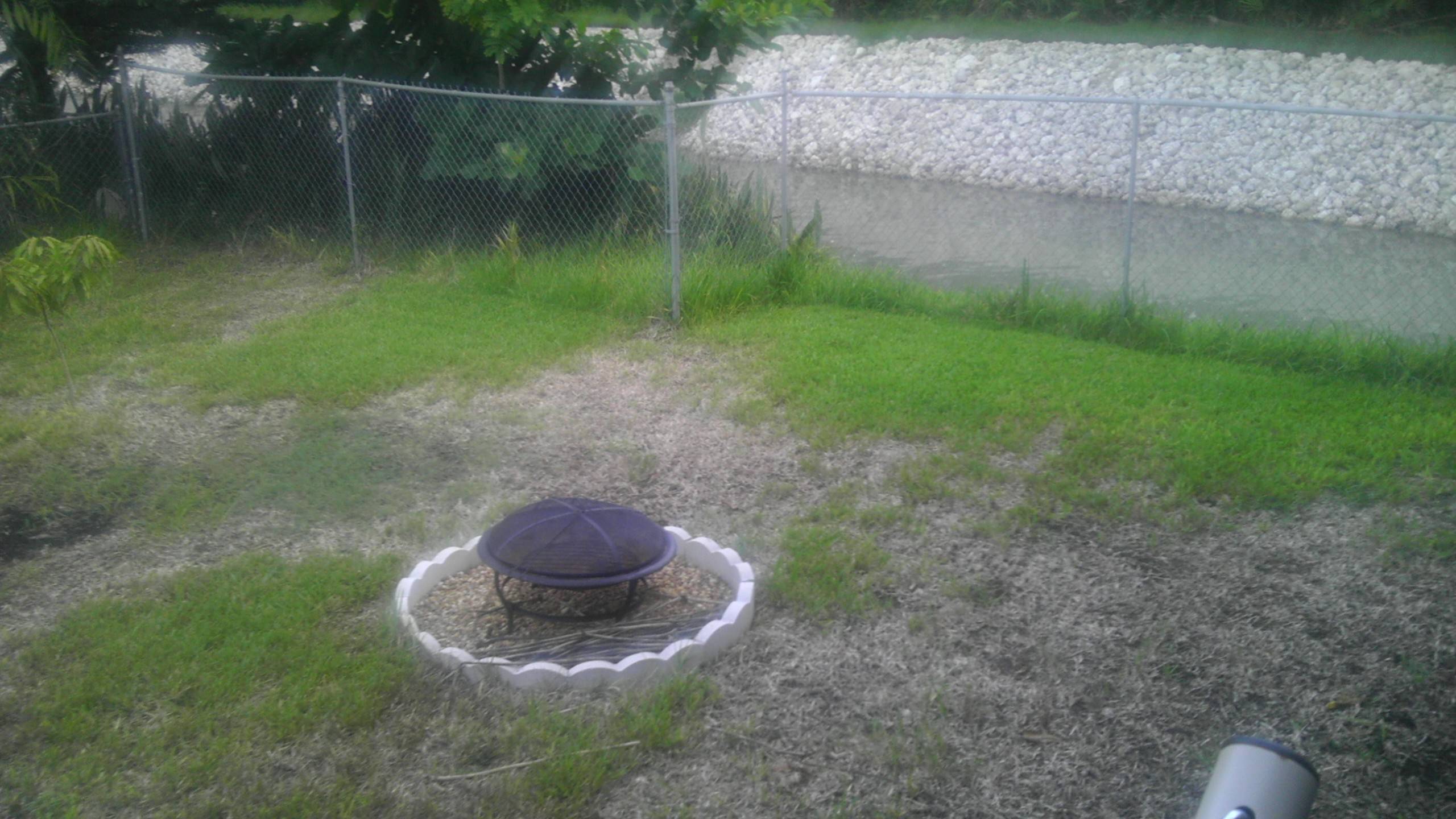 grass Can my lawn be saved or is it time to dig it up and resod