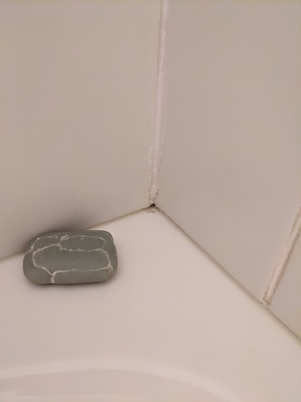 bathroom Best way to fix grout issues (Mould?) in shower? Home