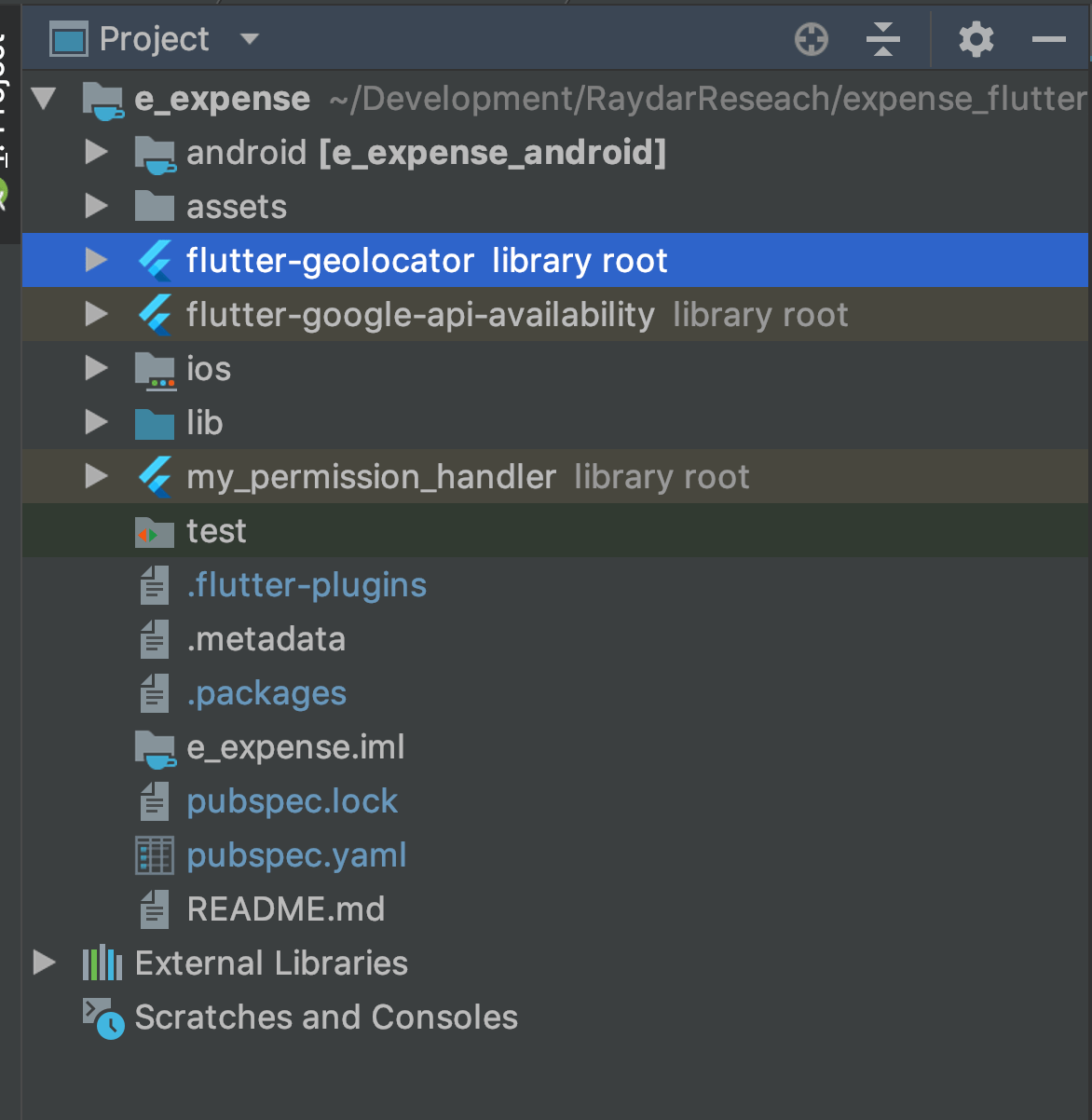 flutter The imported library 'packagegeolocator/model/position.dart