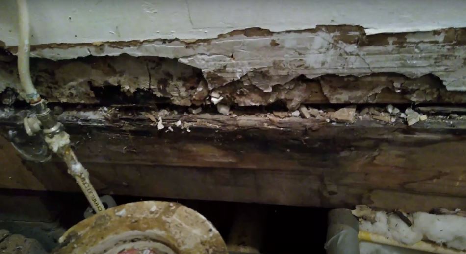 bathroom How to treat joist that has wet rot before sistering a new