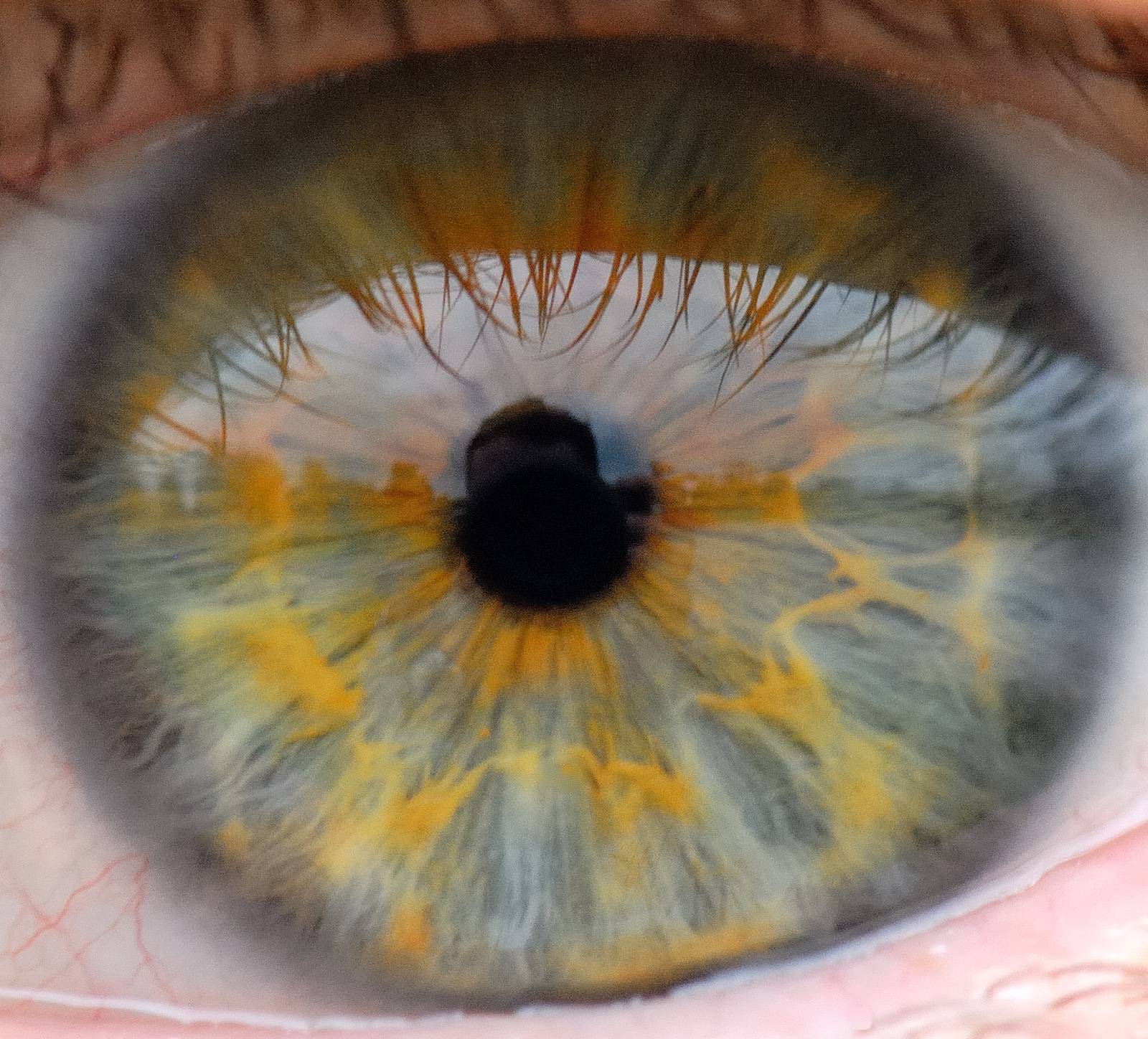 etymology Why does “iris” mean the coloured part of the eye in English? English Language
