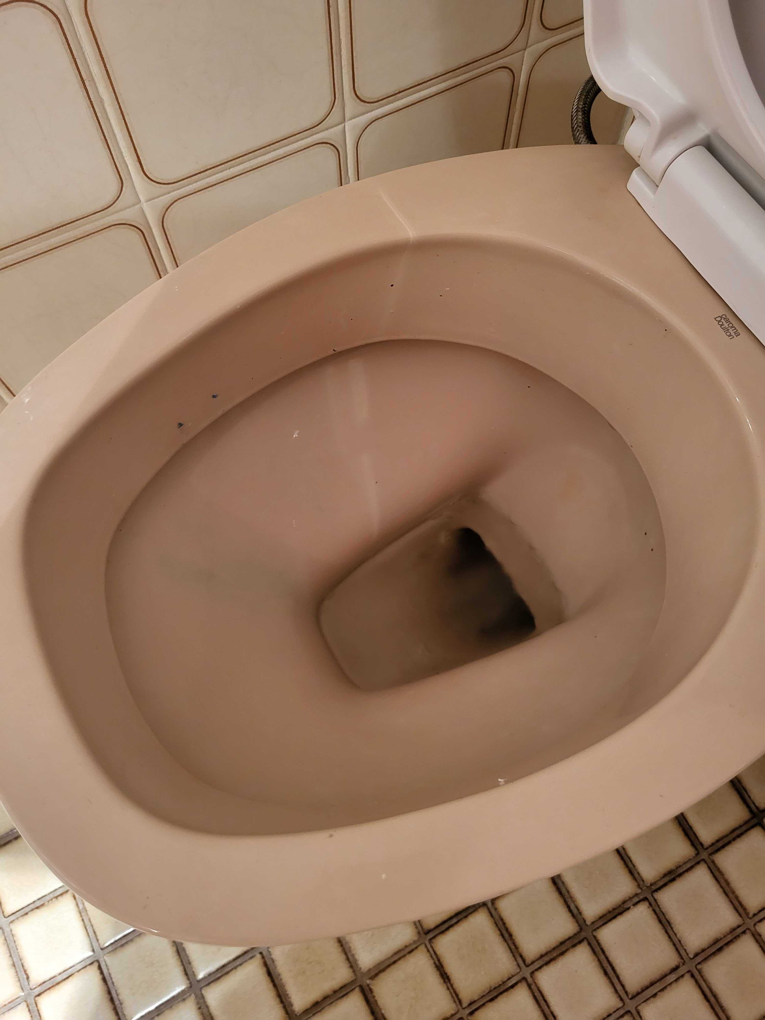plumbing - Toilet drains to empty - Home Improvement Stack Exchange