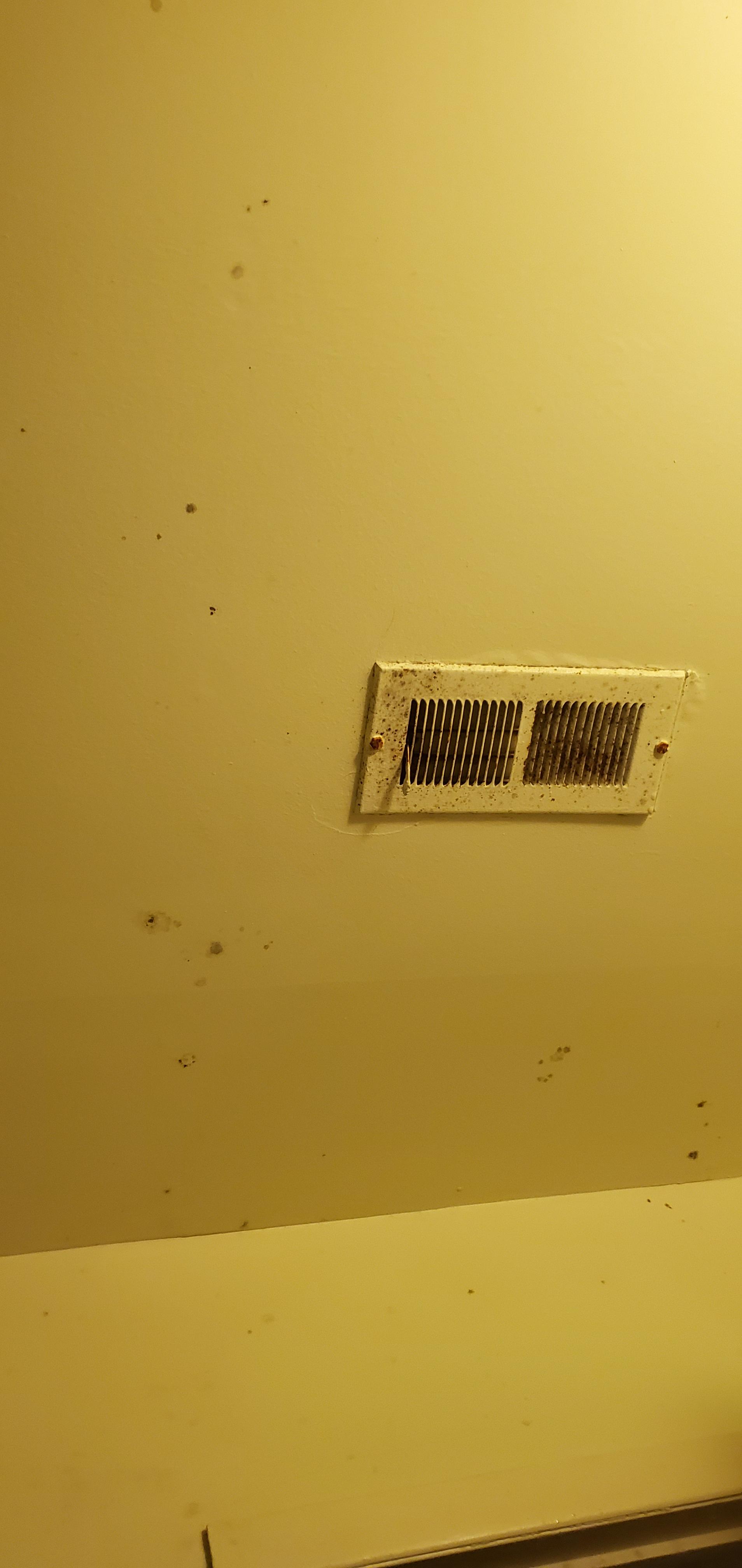 Mold Spots On My Bathroom Ceiling Shelly Lighting