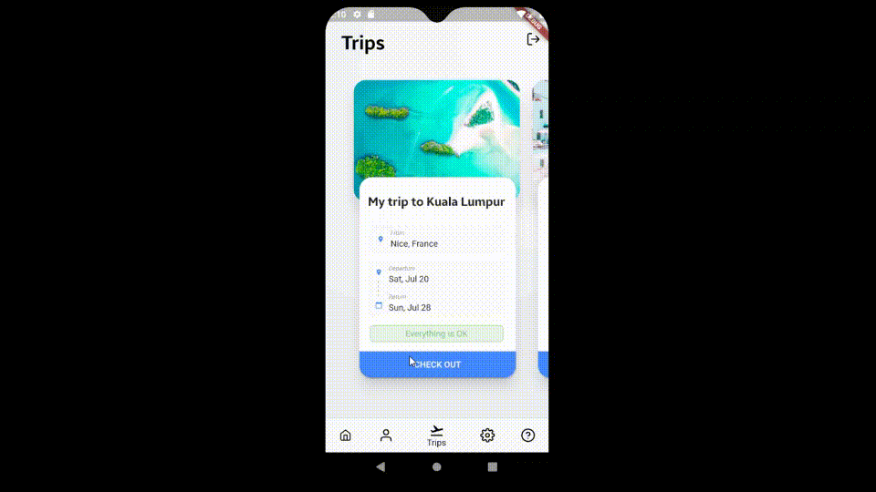 flutter Hero animation producing RenderBox overflow Stack Overflow